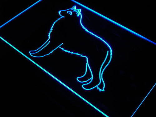 Belgian Sheepdog Dog Pet Shop Neon Light Sign